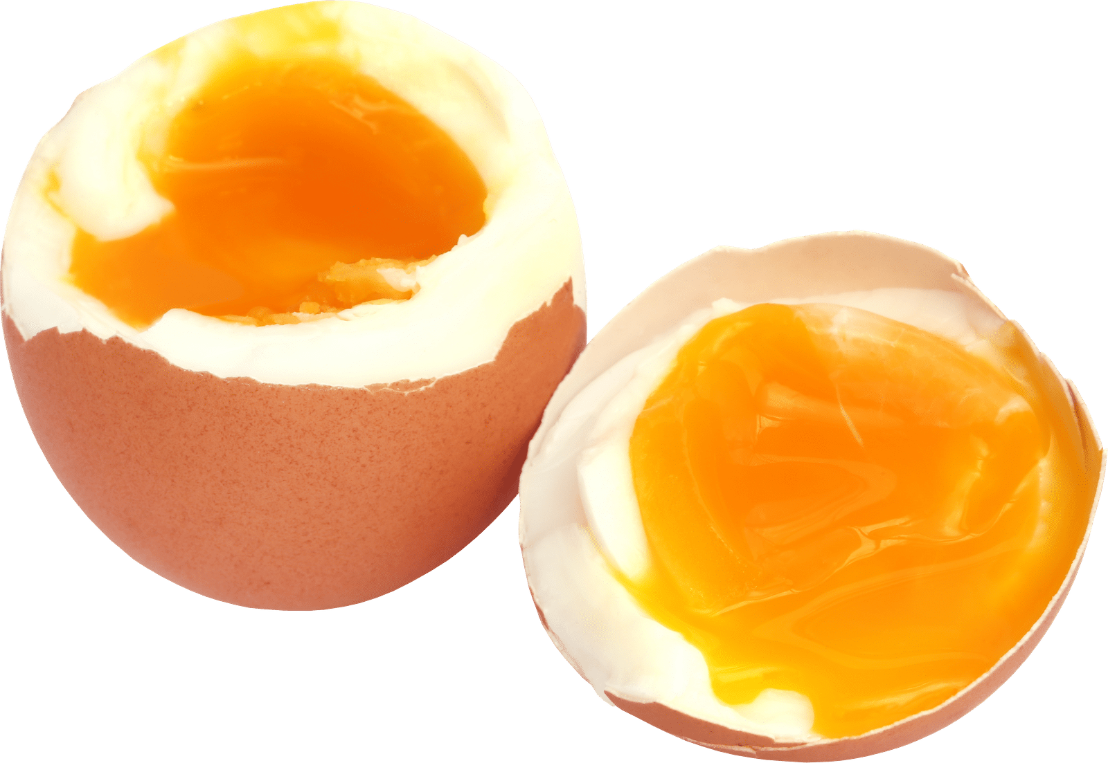 can-you-get-sick-from-eating-an-undercooked-egg-paperjaper