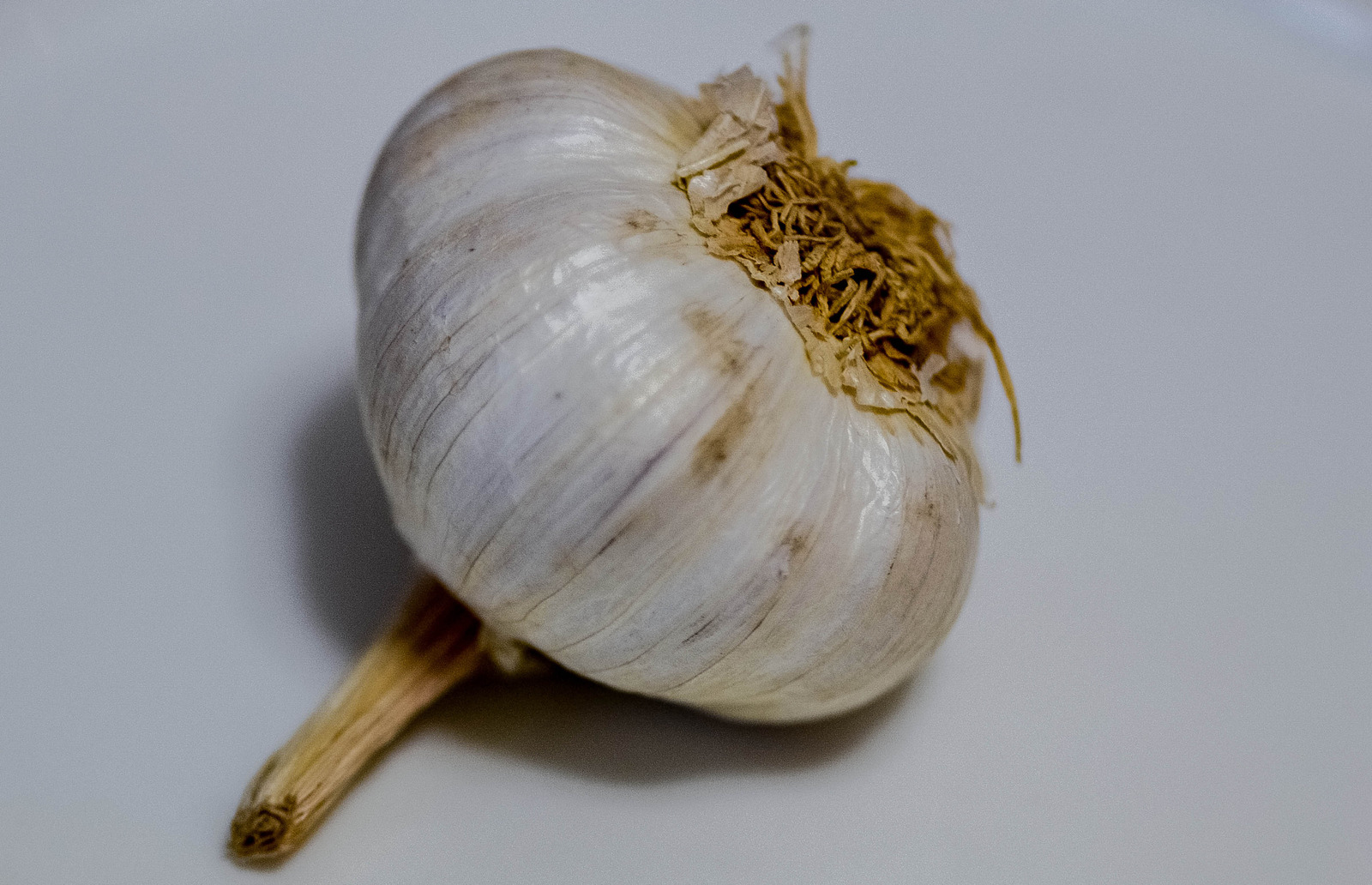 Does Garlic Make You Gassy Paperjaper