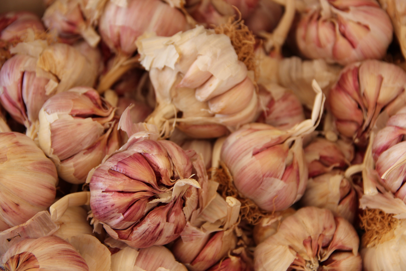 Is Garlic Acidic Or Alkaline? PaperJaper