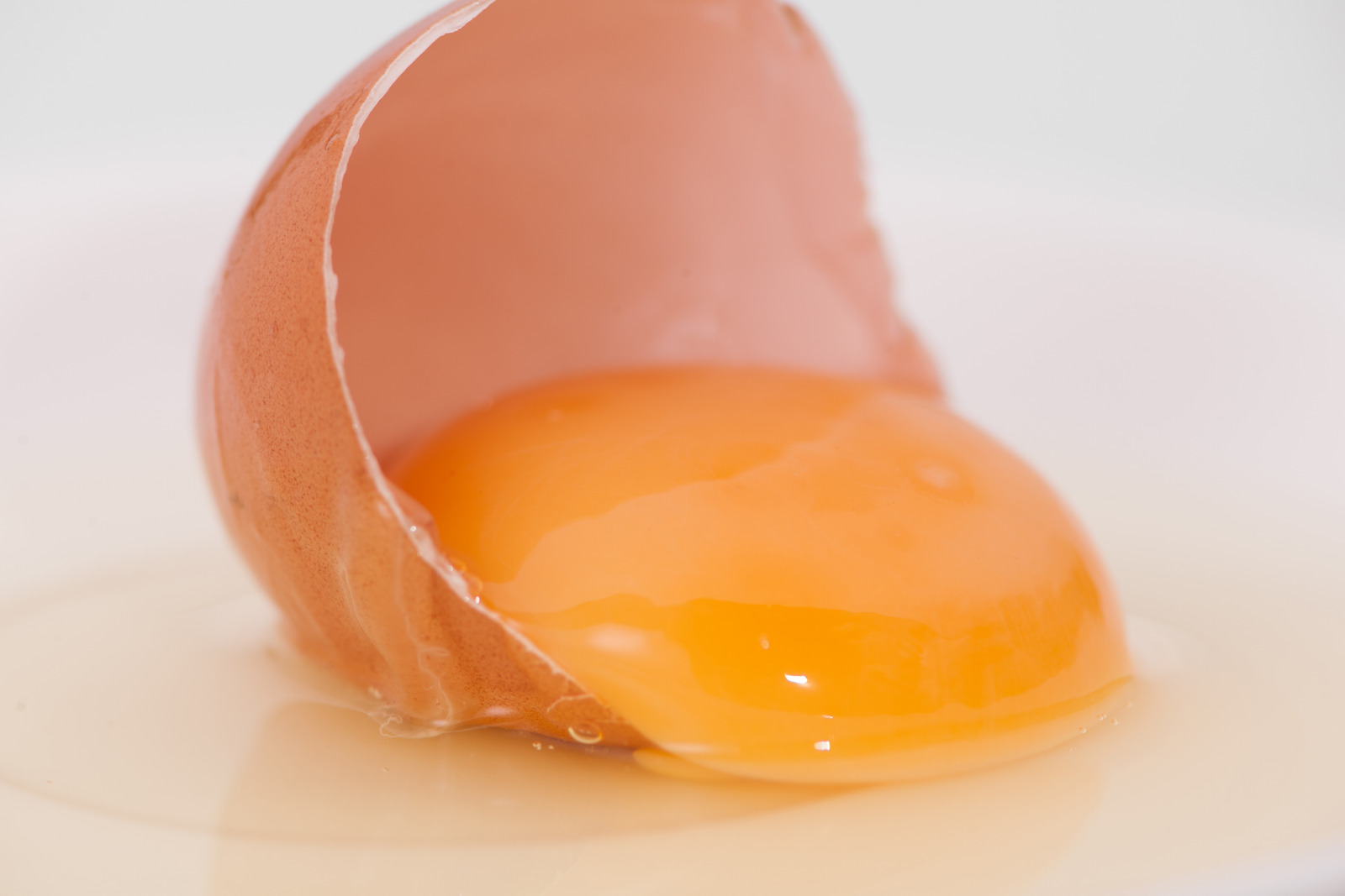 is-yellow-part-of-egg-good-for-health-paperjaper